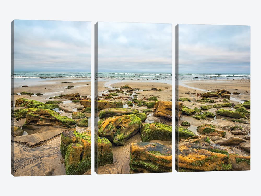 Rocks By The Sea, Torrey Pines State Beach by Joseph S. Giacalone 3-piece Canvas Art Print