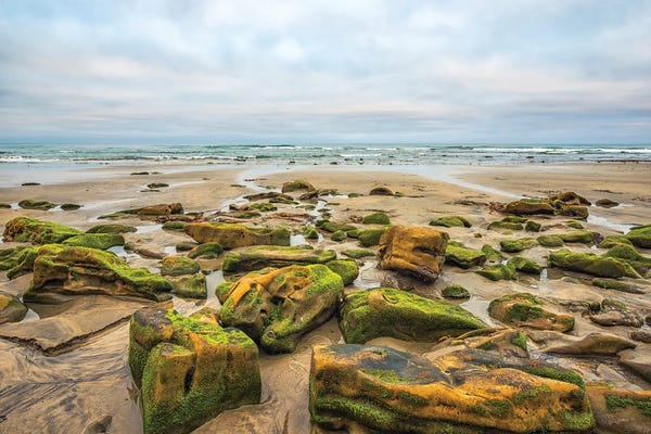 San Diego: Rocks By The Sea, Torrey Pines State Beach by Joseph S. Giacalone