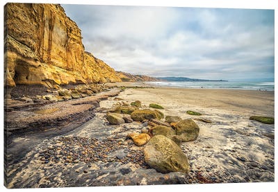 Torrey Pines State Beach Forever Canvas Art Print