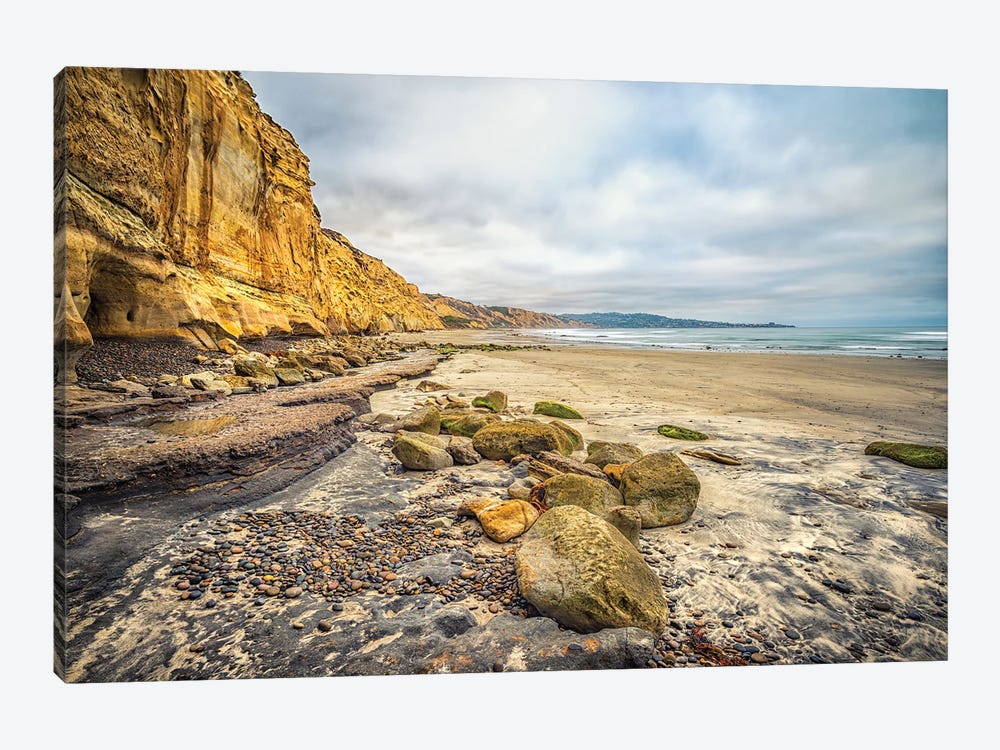 Torrey Pines State Beach Forever by Joseph S. Giacalone 1-piece Canvas Artwork
