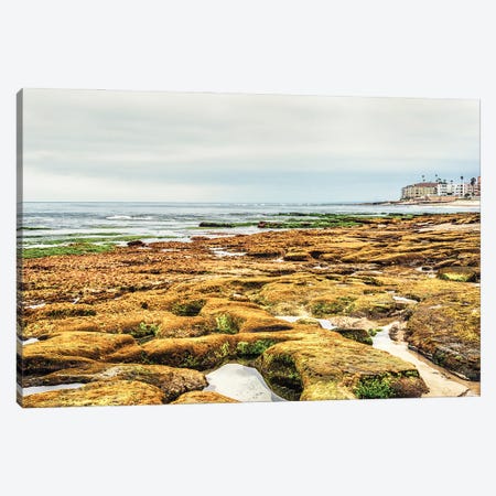 Golden Rocks At Marine Street Beach Canvas Print #JGL421} by Joseph S. Giacalone Art Print