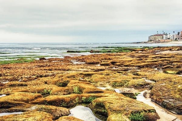San Diego: Golden Rocks At Marine Street Beach by Joseph S. Giacalone