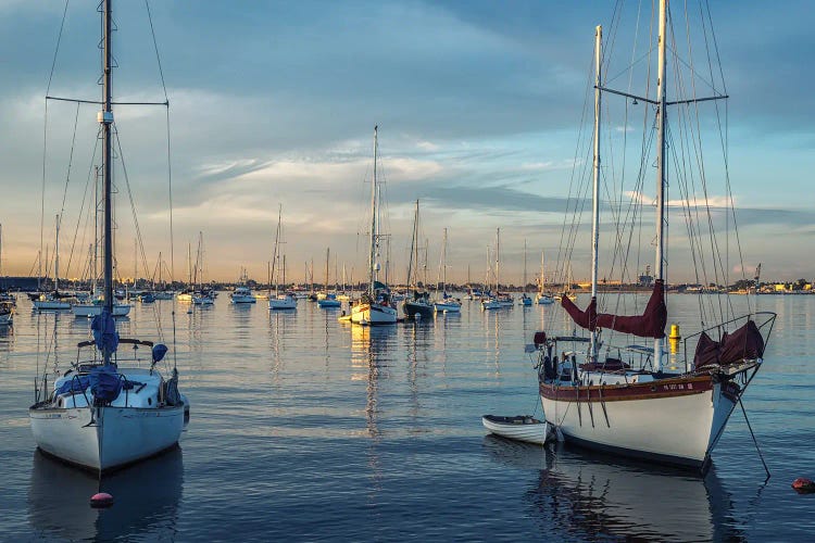 Winter Cool Winter Warmth, San Diego Harbor