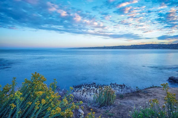 San Diego: So Cool In Winter, La Jolla Coast by Joseph S. Giacalone