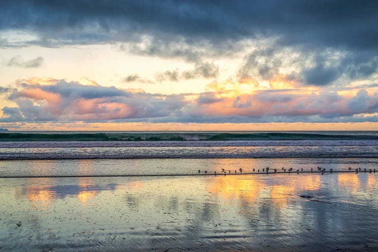 A Beach For The Birds by Joseph S. Giacalone wall art