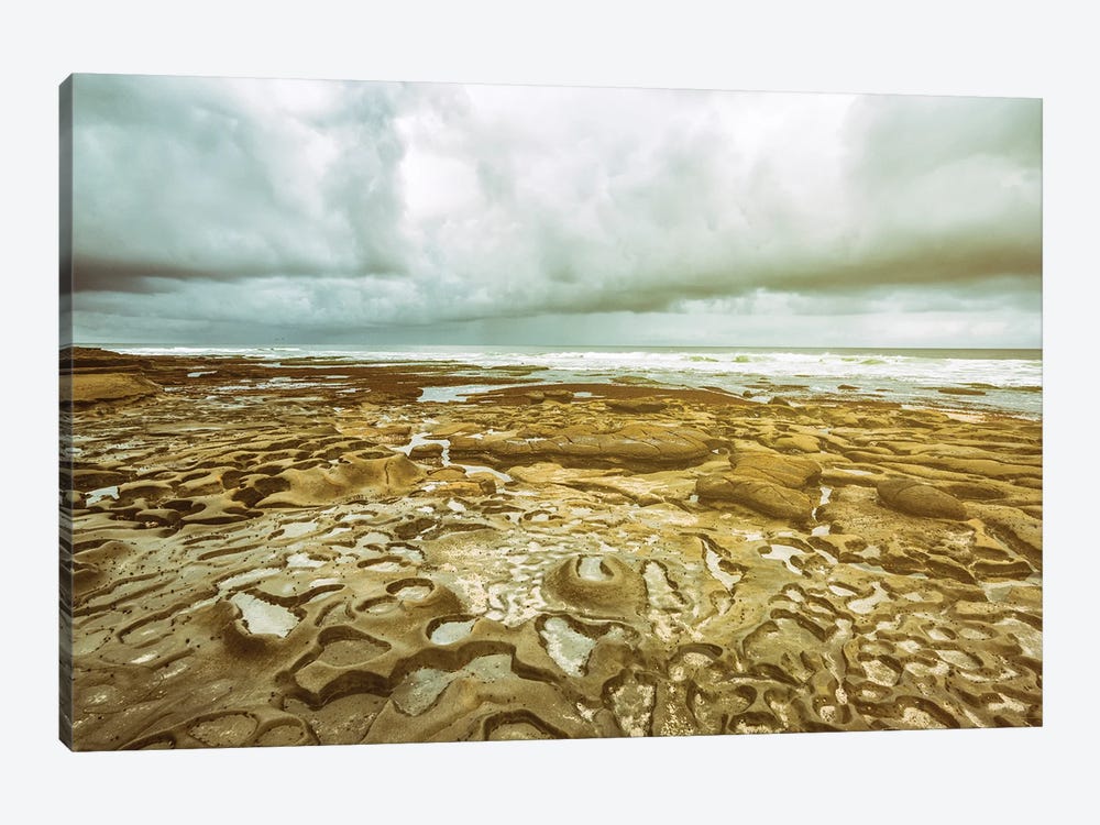 Jigsaw Reef by Joseph S. Giacalone 1-piece Canvas Artwork