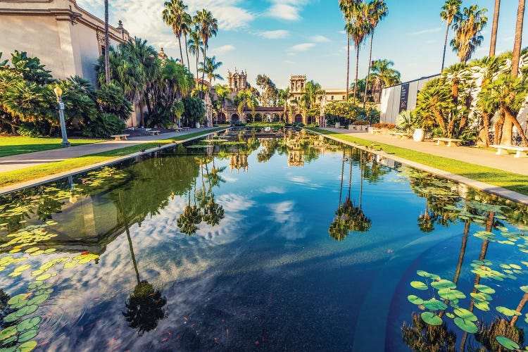 Lovely Lily Pond At Balboa Park