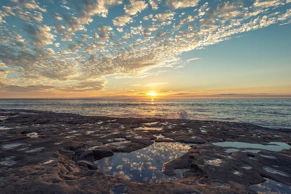 San Diego: Tidepool Reflections, San Diego by Joseph S. Giacalone