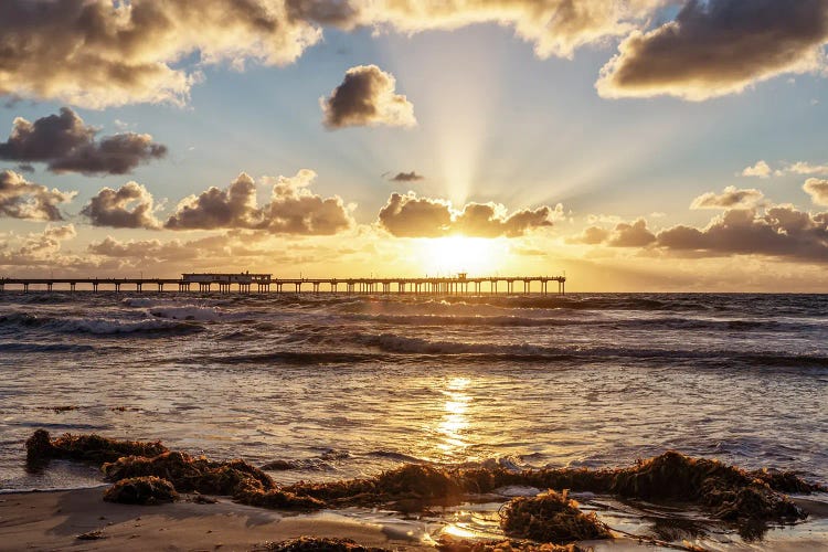 Perfect Ocean Beach Sunset, San Diego