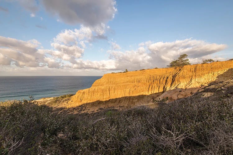 Torrey Pines State Natural Reserve