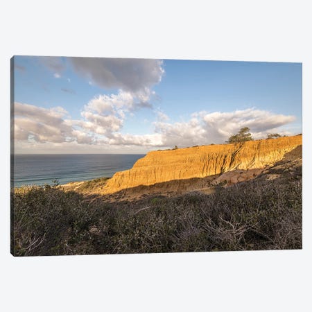 Torrey Pines State Natural Reserve Canvas Print #JGL472} by Joseph S. Giacalone Canvas Art