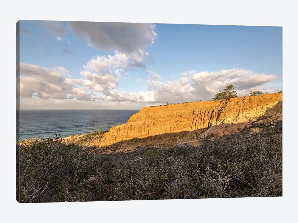 Torrey Pines State Natural Reserve by Joseph S. Giacalone 1-piece Canvas Artwork