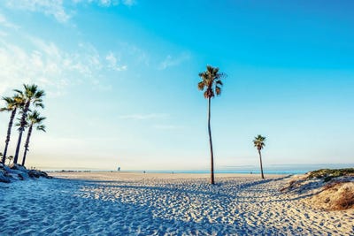 Palm Trees At Coronado Central Beach by Joseph S. Giacalone framed canvas print
