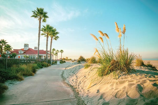 Tropical Beaches: A Serene Path, Coronado California by Joseph S. Giacalone