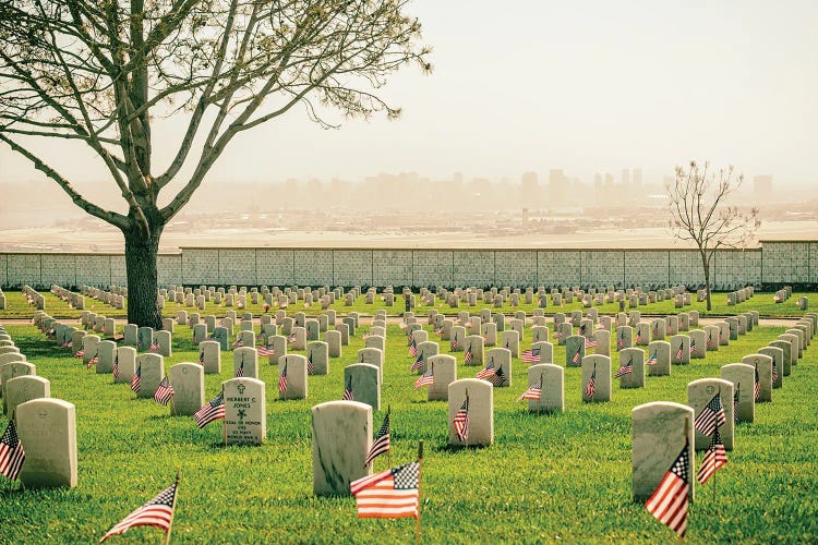 Flags For Memorial Day, Fort Rosecrans National Cemetery