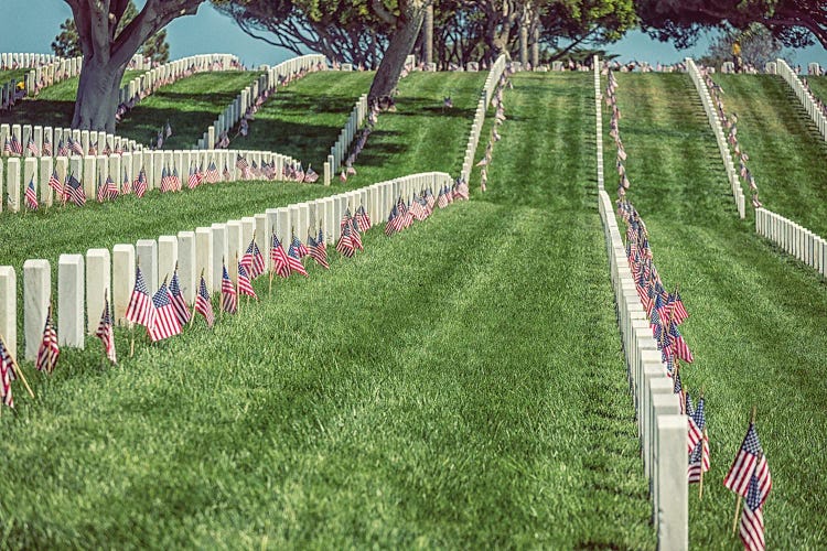 Fields Of Honor, Fort Rosecrans National Cemetery by Joseph S. Giacalone wall art