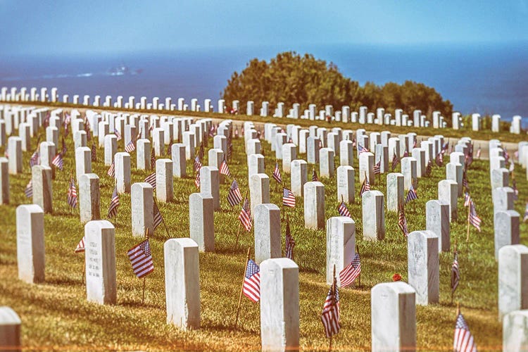 For Honor Above The Sea, Fort Rosecrans National Cemetery by Joseph S. Giacalone wall art