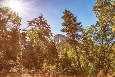 Tahquitz Rock From Humber Park by Joseph S. Giacalone framed canvas print
