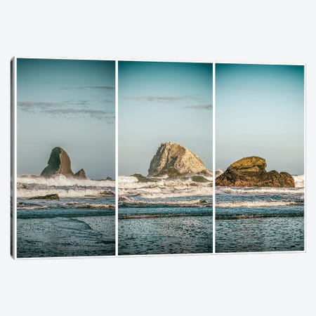 Northern California Coast Triptych Canvas Print #JGL489} by Joseph S. Giacalone Canvas Art Print