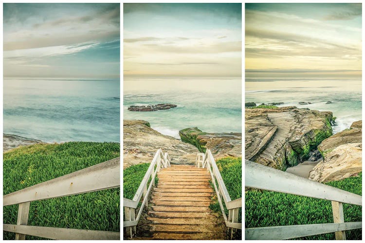 Down To Windansea Beach Triptych