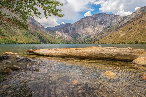 Lakes: Fallen Tree At Convict Lake by Joseph S. Giacalone