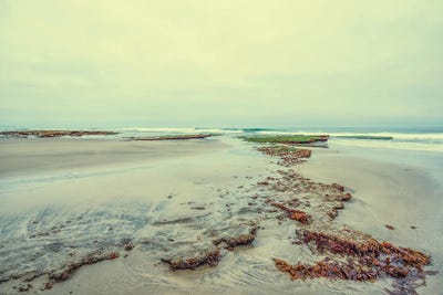 Reef Patterns Cardiff State Beach by Joseph S. Giacalone framed canvas print