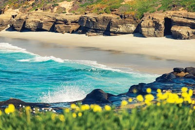 Wipeout Beach Springtime by Joseph S. Giacalone multi panel art