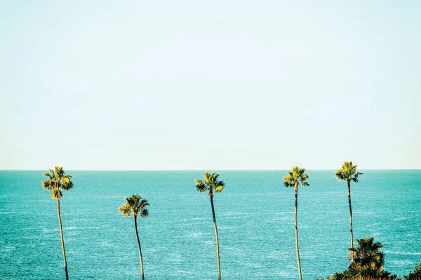 Fine Art Print: Encinitas California Tropical Vibes by Joseph S. Giacalone