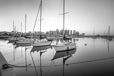 Harbor Monochrome Calm I by Joseph S. Giacalone canvas print