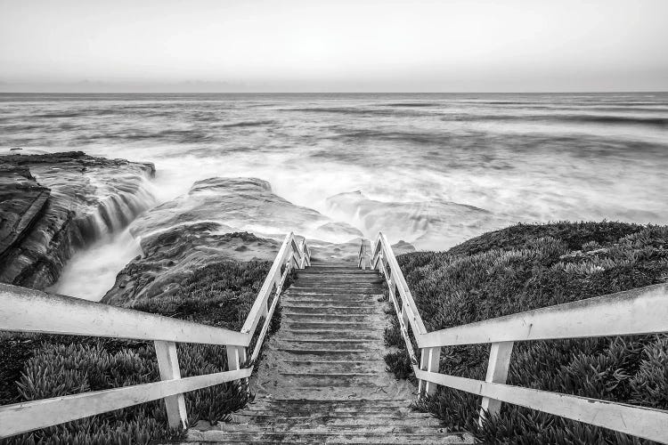 View From Above Windansea Beach by Joseph S. Giacalone wall art
