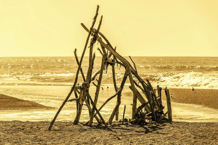 Built On Moonstone Beach by Joseph S. Giacalone wall art