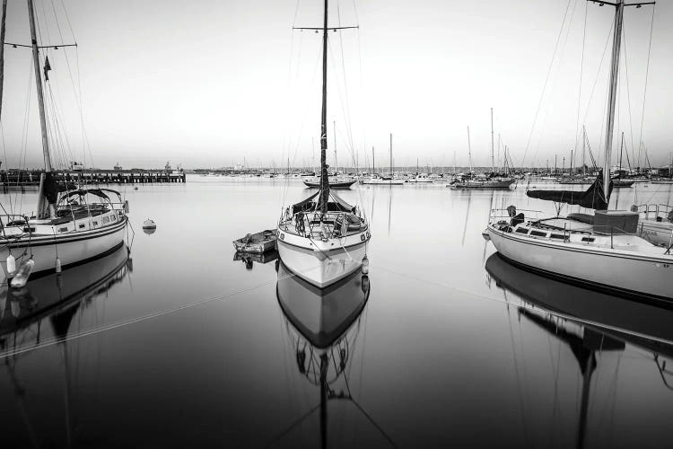 Harbor Monochrome Calm II