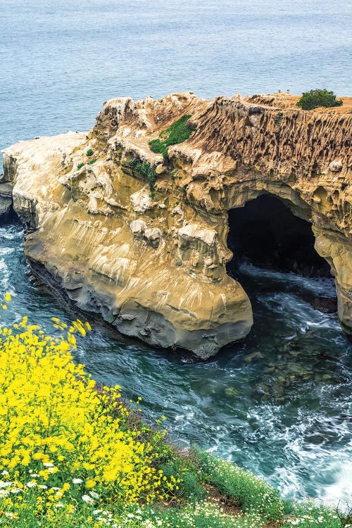 Spring Beauty By The Sunny Jim Cave