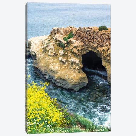 Spring Beauty By The Sunny Jim Cave Canvas Print #JGL660} by Joseph S. Giacalone Canvas Art Print