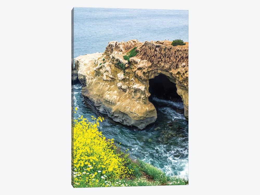 Spring Beauty By The Sunny Jim Cave by Joseph S. Giacalone 1-piece Canvas Art