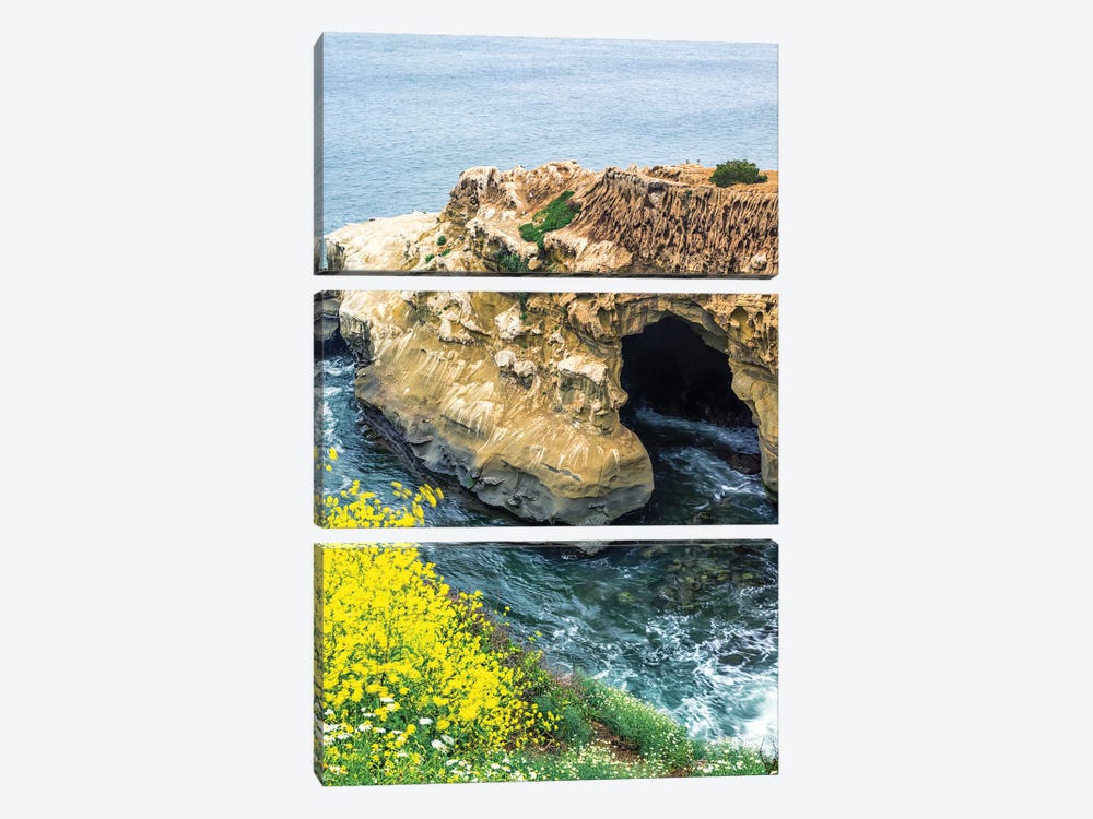 Spring Beauty By The Sunny Jim Cave by Joseph S. Giacalone 3-piece Canvas Wall Art