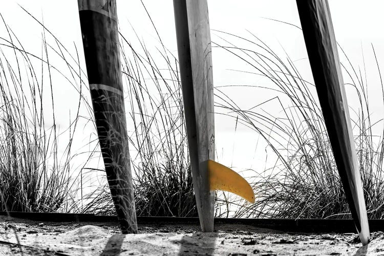 The Yellow Fin by Joseph S. Giacalone wall art
