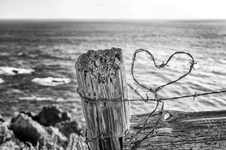 Love On The Coast I by Joseph S. Giacalone wall art