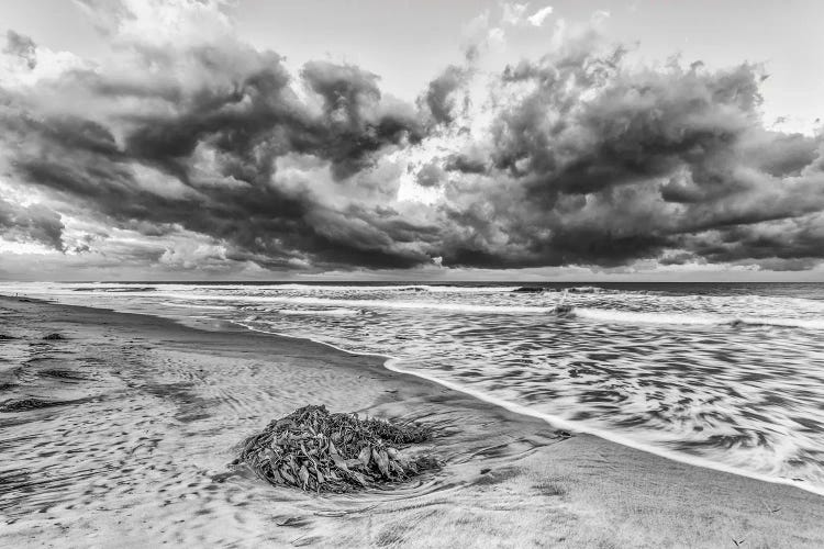 Ponto Beach Majesty by Joseph S. Giacalone wall art