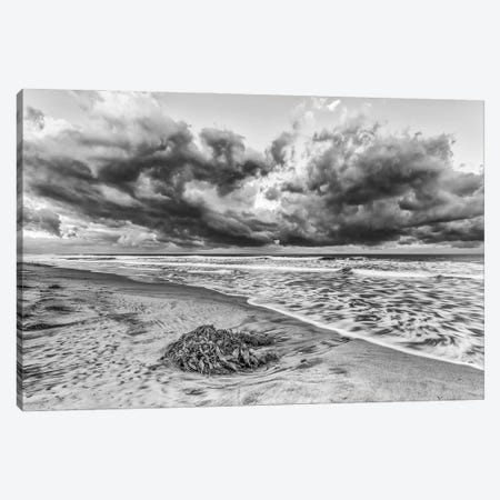 Ponto Beach Majesty Canvas Print #JGL6} by Joseph S. Giacalone Canvas Print