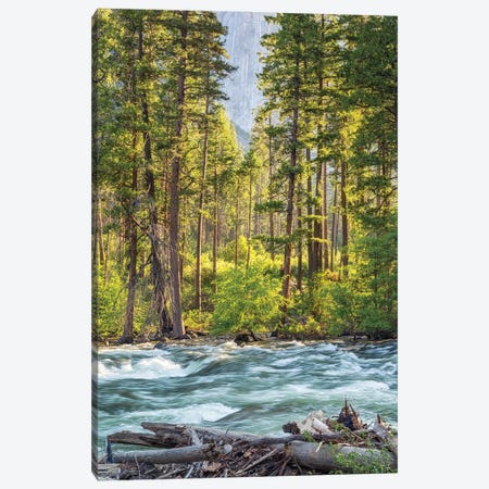 Beauty By The Merced River Canvas Print #JGL723} by Joseph S. Giacalone Canvas Art