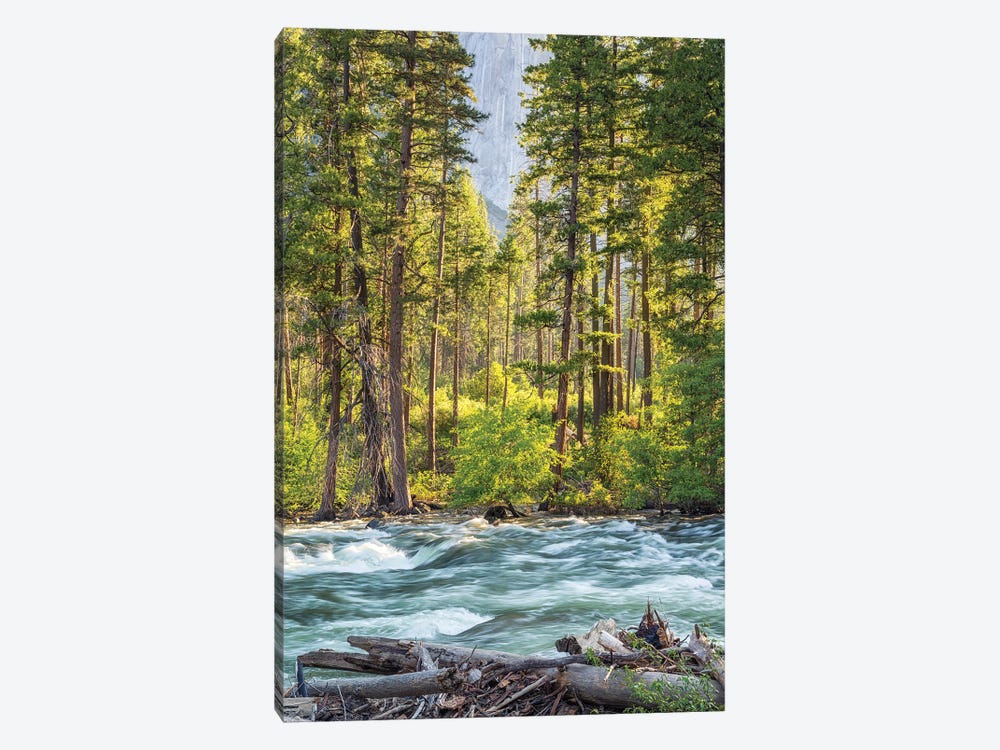 Beauty By The Merced River by Joseph S. Giacalone 1-piece Canvas Art