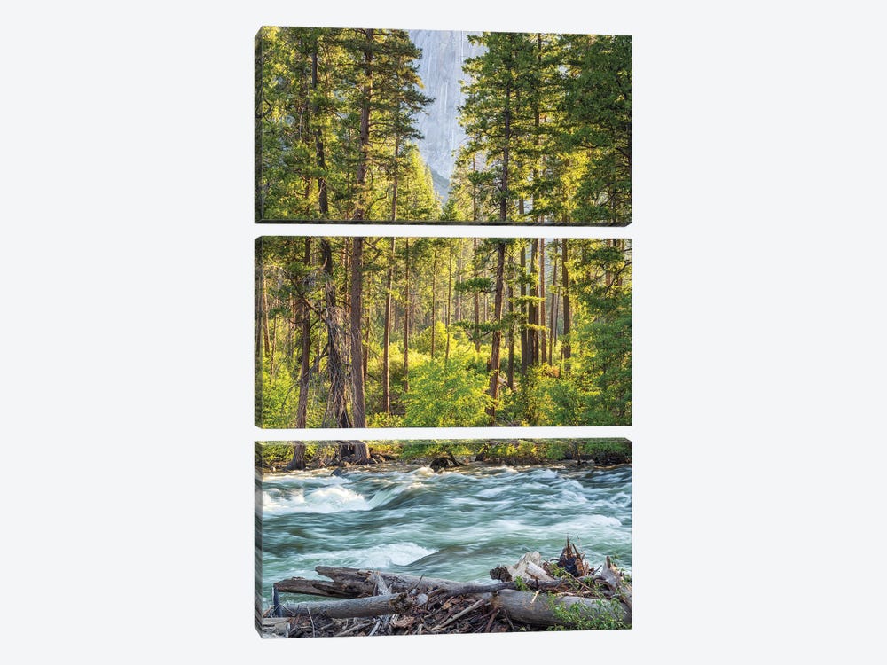 Beauty By The Merced River by Joseph S. Giacalone 3-piece Canvas Art