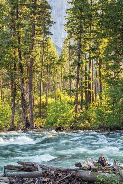 Yosemite National Park: Beauty By The Merced River by Joseph S. Giacalone
