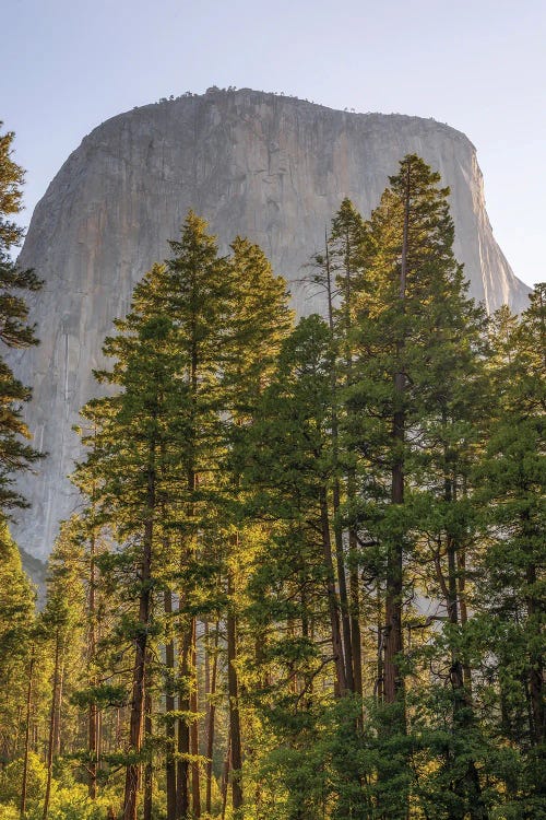 Under El Capitan