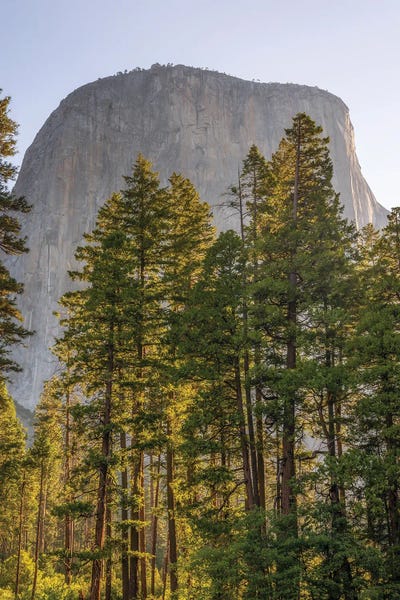 Yosemite National Park: Under El Capitan by Joseph S. Giacalone