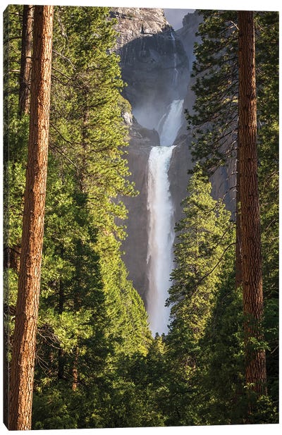 Lower Yosemite Falls Canvas Art Print - Waterfall Art