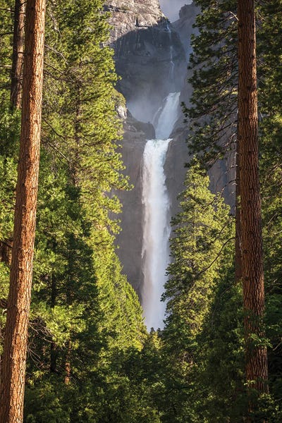 Yosemite National Park: Lower Yosemite Falls by Joseph S. Giacalone