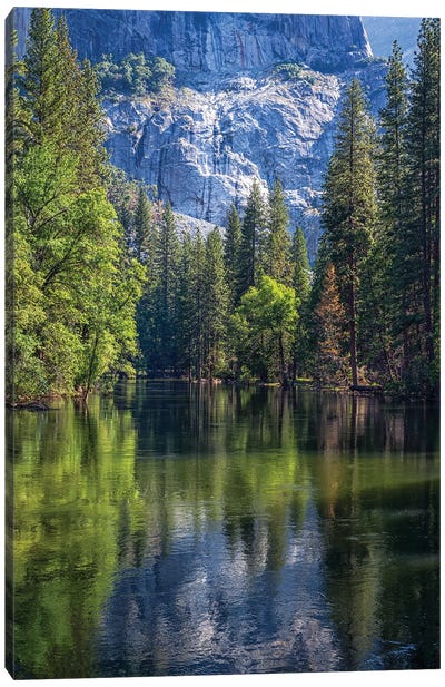 Reflections On The Merced River Canvas Art Print - Yosemite National Park Art