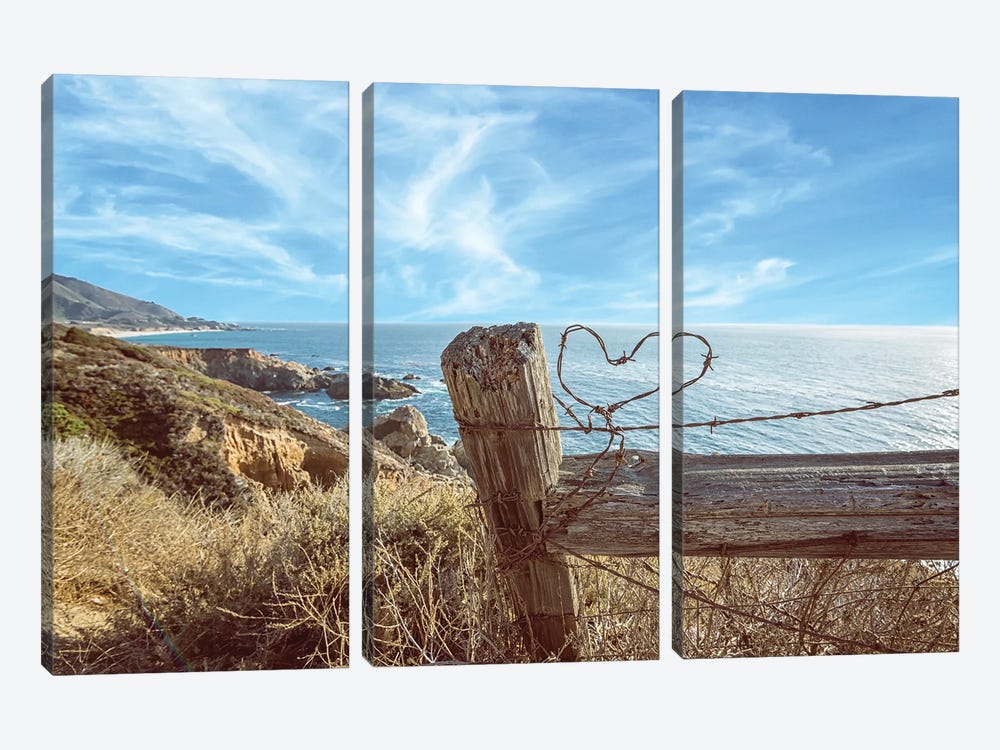 A Barb Wire Heart On The Coast by Joseph S. Giacalone 3-piece Canvas Print
